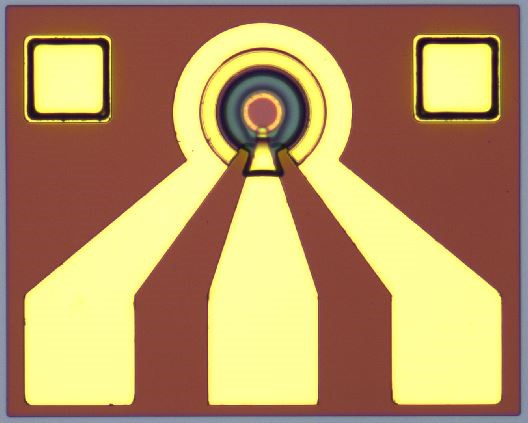 1695260340112351.jpg 25G PD.jpg